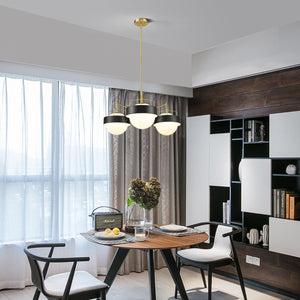 Black/Brushed Brass/White
