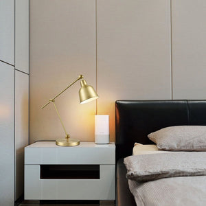 Brushed Brass