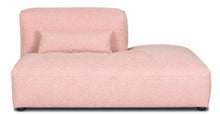Load image into Gallery viewer, Collection, Carnation Pink
