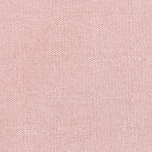 Carnation Pink
