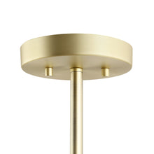 Load image into Gallery viewer, Brass/Clear
