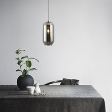 Load image into Gallery viewer, Satin Nickel/Smokey

