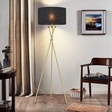 Load image into Gallery viewer, Brass/Black
