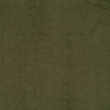 Load image into Gallery viewer, Distressed Green Velvet
