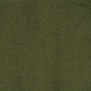 Distressed Green Velvet