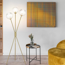 Load image into Gallery viewer, Brushed Brass/Clear
