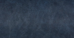 Midnight Blue/Set of 2