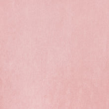 Load image into Gallery viewer, Powder Pink/Set of 2
