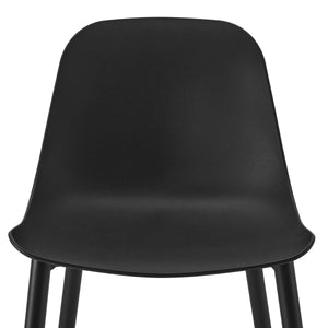 Ebony Black