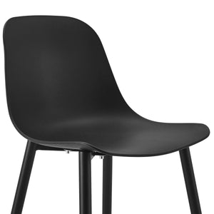 Ebony Black