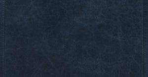 Midnight Blue/Set of 2