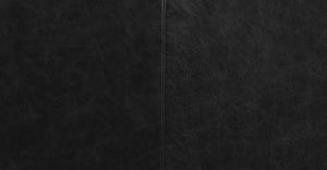 Onyx Black
