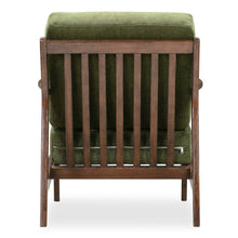 Load image into Gallery viewer, Distressed Green Velvet
