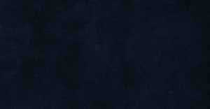Navy Velvet/Set of 2