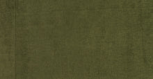 Load image into Gallery viewer, Distressed Green Velvet/Set of 2
