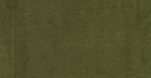 Distressed Green Velvet/Set of 2