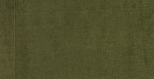Load image into Gallery viewer, Distressed Green Velvet/Single
