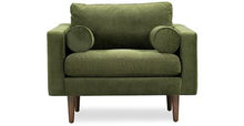 Load image into Gallery viewer, Collection, Distressed Green Velvet
