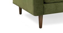 Load image into Gallery viewer, Distressed Green Velvet/Single
