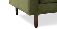 Load image into Gallery viewer, Distressed Green Velvet
