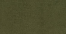 Load image into Gallery viewer, Distressed Green Velvet
