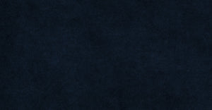 Navy Velvet