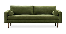 Load image into Gallery viewer, Collection, Distressed Green Velvet
