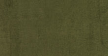Load image into Gallery viewer, Distressed Green Velvet
