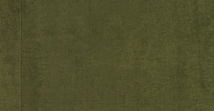 Distressed Green Velvet