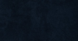 Navy Velvet