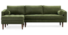Load image into Gallery viewer, Collection, Distressed Green Velvet
