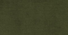 Load image into Gallery viewer, Distressed Green Velvet
