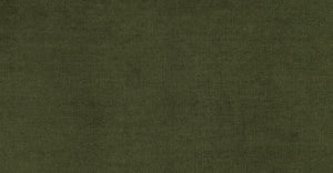 Distressed Green Velvet