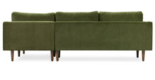 Load image into Gallery viewer, Distressed Green Velvet
