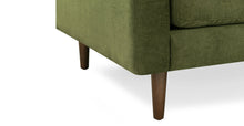 Load image into Gallery viewer, Distressed Green Velvet
