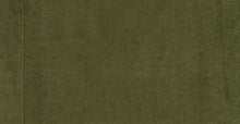 Load image into Gallery viewer, Distressed Green Velvet
