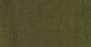 Distressed Green Velvet