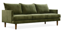 Load image into Gallery viewer, Distressed Green Velvet
