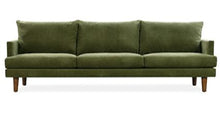 Load image into Gallery viewer, Collection, Distressed Green Velvet
