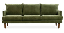 Load image into Gallery viewer, Distressed Green Velvet
