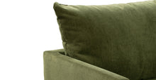 Load image into Gallery viewer, Distressed Green Velvet
