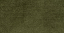 Load image into Gallery viewer, Distressed Green Velvet
