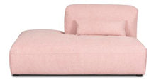 Load image into Gallery viewer, Collection, Carnation Pink
