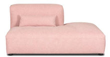 Load image into Gallery viewer, Collection, Carnation Pink
