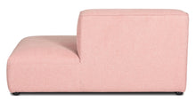 Load image into Gallery viewer, Carnation Pink
