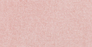 Carnation Pink