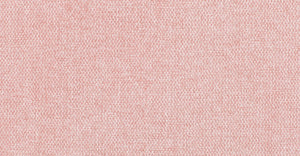 Carnation Pink