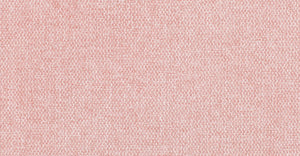 Carnation Pink