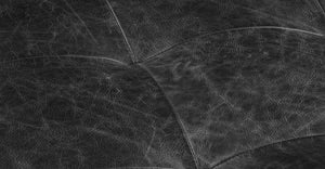 Onyx Black
