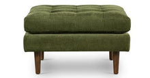 Load image into Gallery viewer, Collection, Distressed Green Velvet

